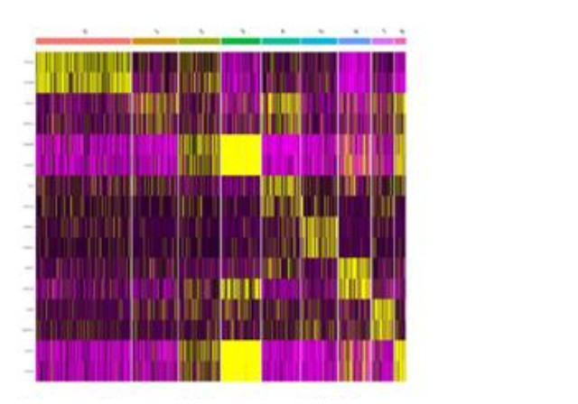 Clustered heatmap of differentially expressed genes across cell groups