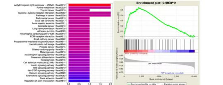 Bar chart of enriched pathways beside a GSEA enrichment plot