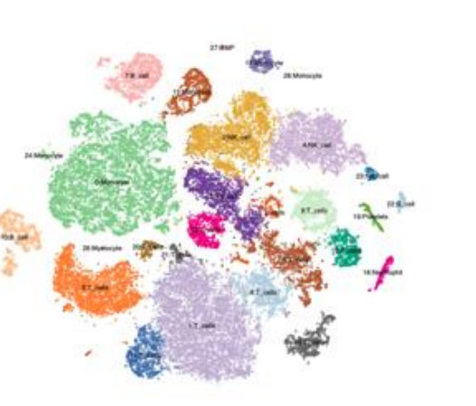 t-SNE of several merged samples with annotated cell type clusters