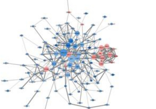 Protein-protein interaction network with two coloured modules